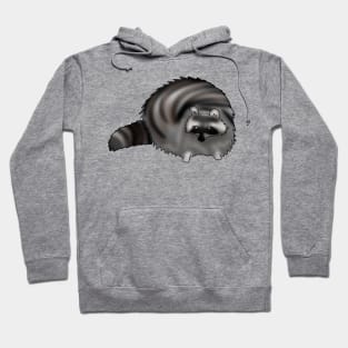 Chonky Raccoon Hoodie